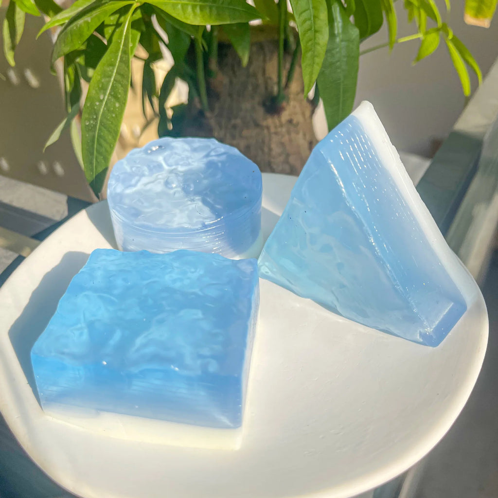 Transparent Ocean Squishy Toys