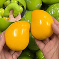 Crispy Mango Squishy