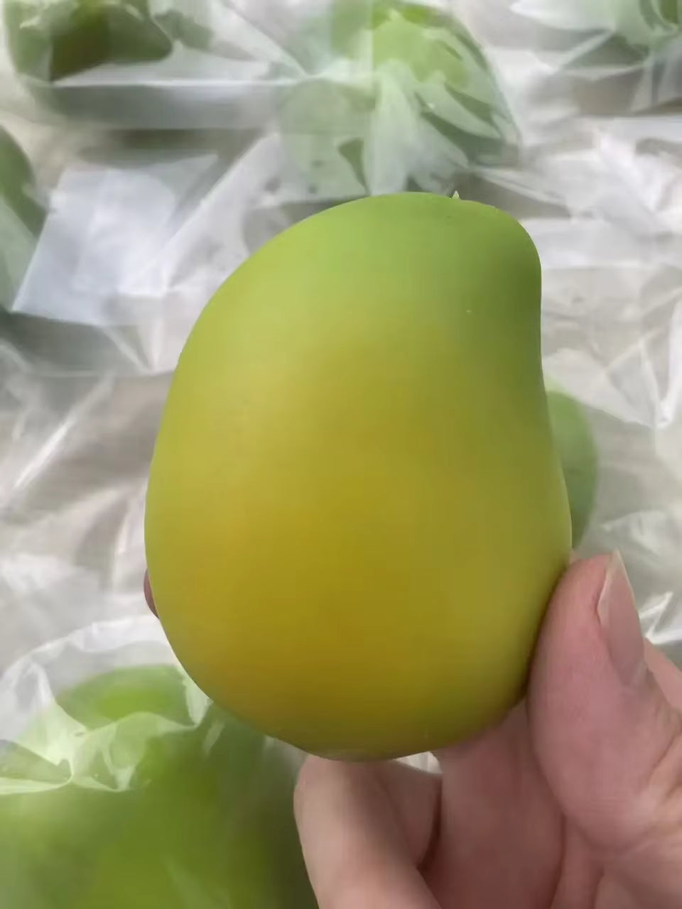 Crispy Mango Squishy