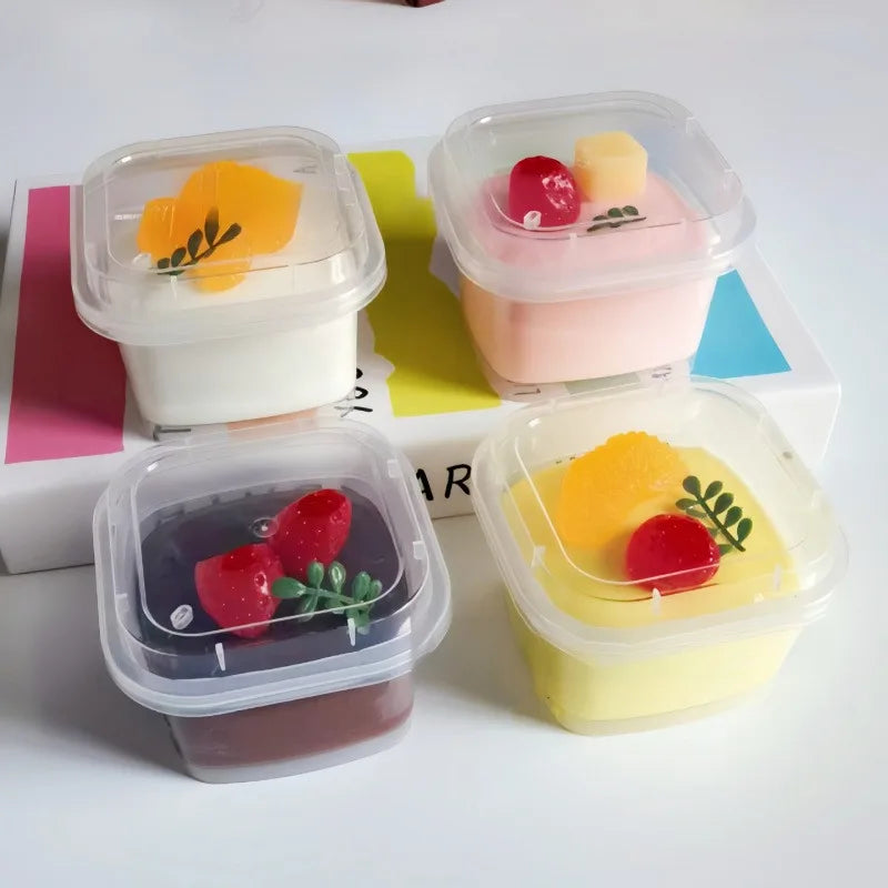 Fruit Pudding Squishy