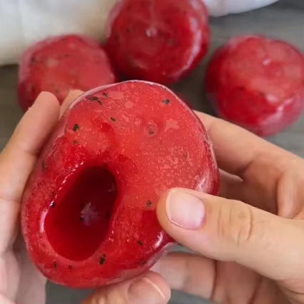 Slushy Filled Watermelon Squishy